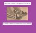 Crochet a Pair of Women's Leisure Slippers - A Vintage Pair of Crochet Slippers Pattern