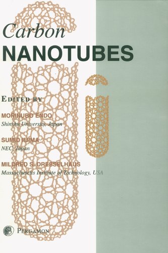 Carbon Nanotubes (Carbon , Vol 33)