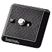 Produkt-Bild: Hama Click II Kameraplatte mit B1/10,2 cm (4 Zoll)-Gewinde
