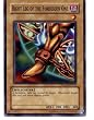 Right Leg of the Forbidden One - Exodia Piece (Common) / Single YuGiOh! Card in a Protective Deck Sleeve!