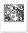 Reptiles by M.C. Escher 17.25"x15" Art Print Poster