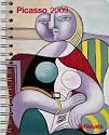 2009 Picasso Deluxe Diary