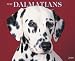 Just Dalmatians 2010 Calendar