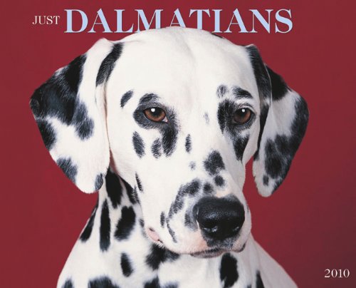 Dalmatians 2010 Calendar (Just)