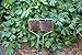 Bosmer K455 Large-Faced Copper Plated Metal Plant Markers, 10-Inch High (Pack of 20)