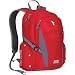 High Sierra Sully Backpack