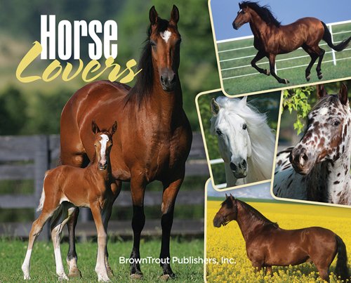Horse Lovers 2016 Box