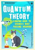 Quantum Theory: A Graphic Guide to Science's Most Puzzling Discovery (Introducing...)
