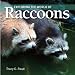 Exploring the World of Raccoons (Exploring the World of (Firefly Books))