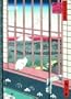 2009 Hiroshige Magneto Diary Calendar Large