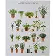 Aromatic Garden ~ Jardin Aromatique French Poster on Heavy Card Stock