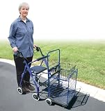 518eF83XoyL. SL160  Folding Shopping Cart (Blue)
