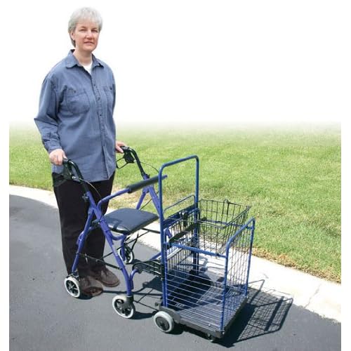 Shopping Cart Walker