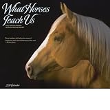 What Horses Teach Us 2011 Wall Calendar
