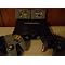 The Ultimate Nintendo 64 Package