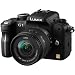 Photo : Panasonic Lumix DMC-G1 12.1MP Digital SLR Camera with Lumix G Vario 14-45 mm f/3.5-5.6 ASPH Mega OIS Lens (Black)