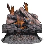 Gas Stoves