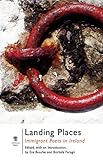 Landing places : immigrant poets in Ireland