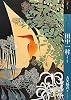 もっと知りたい田中一村―生涯と作品 (アート・ビギナーズ・コレクション)
