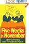 Five Weeks in November: A Brief Commentary on the Florida Election Results