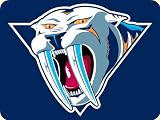 Nashville Predators Mouse Pad