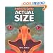 Prehistoric Actual Size