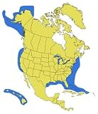 Lowrance Np-usa Mapcreate Topo Accessory