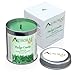 Aurorae 6.8 oz Eucalyptus Scented Soy Aromatherapy Candle