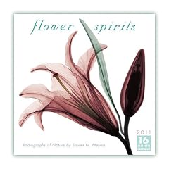Flower Spirits 2011 Wall Calendar (Calendar)