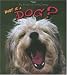 What is a Dog? (Science of Living Things)