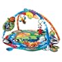 Baby Einstein Around The World Play Gym