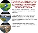 The Guru's Marketing, Godfather Principles and Sales Models for Walkie Talkies Web Biz 3 CD Course