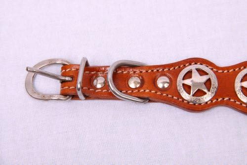 Brown Leather Dog Collar with Texas Star Concho -16"