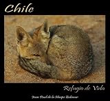 Chile, Shelter of life