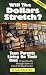 Will the Dollars Stretch?: Teen Parents Living on Their Own (Teen Pregnancy and Parenting)