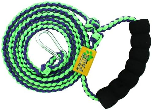 Paracord Paws Adjusting Multifunction Glow-in-The-Dark Walking Leash for Dogs, Green/Purple