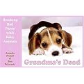Grandma's Dead (Breaking Bad News With Baby Animals) (Paperback)