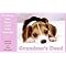 Grandma's Dead (Breaking Bad News With Baby Animals) (Paperback)