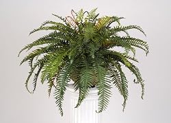 Artificial Boston Fern Hanging Basket