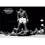 Muhammad Ali vs. Sonny Liston Sports Poster Print, 36x24