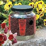 Mosquito Control - Mosquito Trap