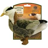 AKC Outdoor Water Fowl (Large)