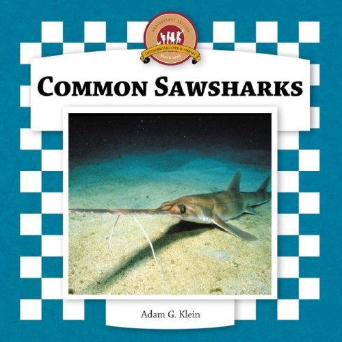 Shark