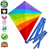 Huge Rainbow Kite For Kids - Easy Flyer Kites for Kids and Adults - The Best Large Flying Diamond Kite - Go Fly a Kite in Seconds - Today Get 100% Money Guarantee - Big Runner Kite Kit with Handle & String - Extra Ebook Included