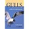 Birding in Michigan  essentials