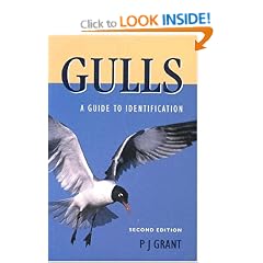 Grant Gulls 2e