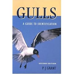 Grant Gulls 2e