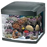 Oceanic 82052 BioCube Aquarium, 29-Gallon
