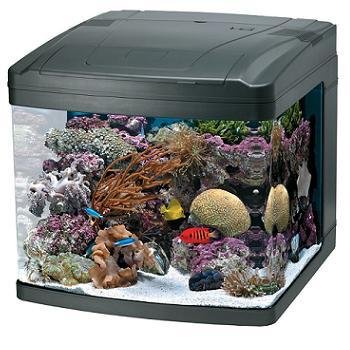 Oceanic 82052 BioCube Aquarium, 29-Gallon Oceanic 82052 BioCube Aquarium, 29-Gallon
