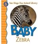 Baby Zebra (San Diego Zoo Animal Library)